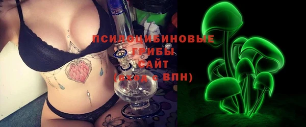 ГАЛЛЮЦИНОГЕННЫЕ ГРИБЫ Абаза