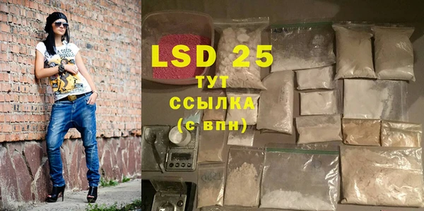 ГАЛЛЮЦИНОГЕННЫЕ ГРИБЫ Абаза