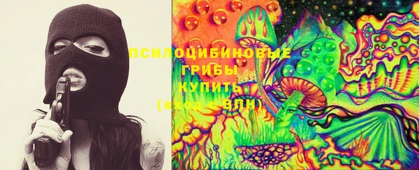 ГАЛЛЮЦИНОГЕННЫЕ ГРИБЫ Абаза