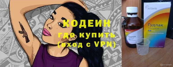 ГАЛЛЮЦИНОГЕННЫЕ ГРИБЫ Абаза